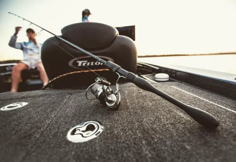 15 Mejores Consejos De Pesca Drop Shot Para Principiantes (Que