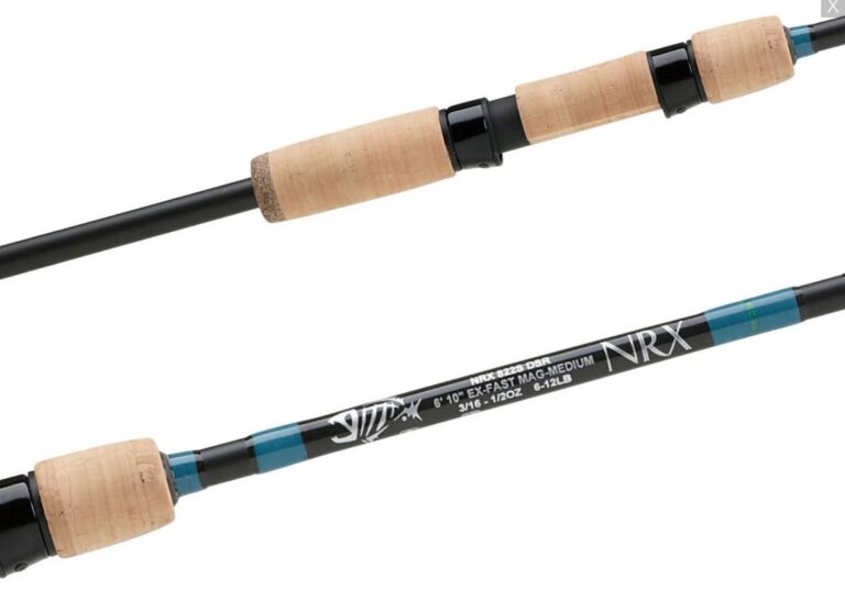 Best Rod For Shaky Head, Wacky Rig, Ned Rig Finesse Fishing [2021