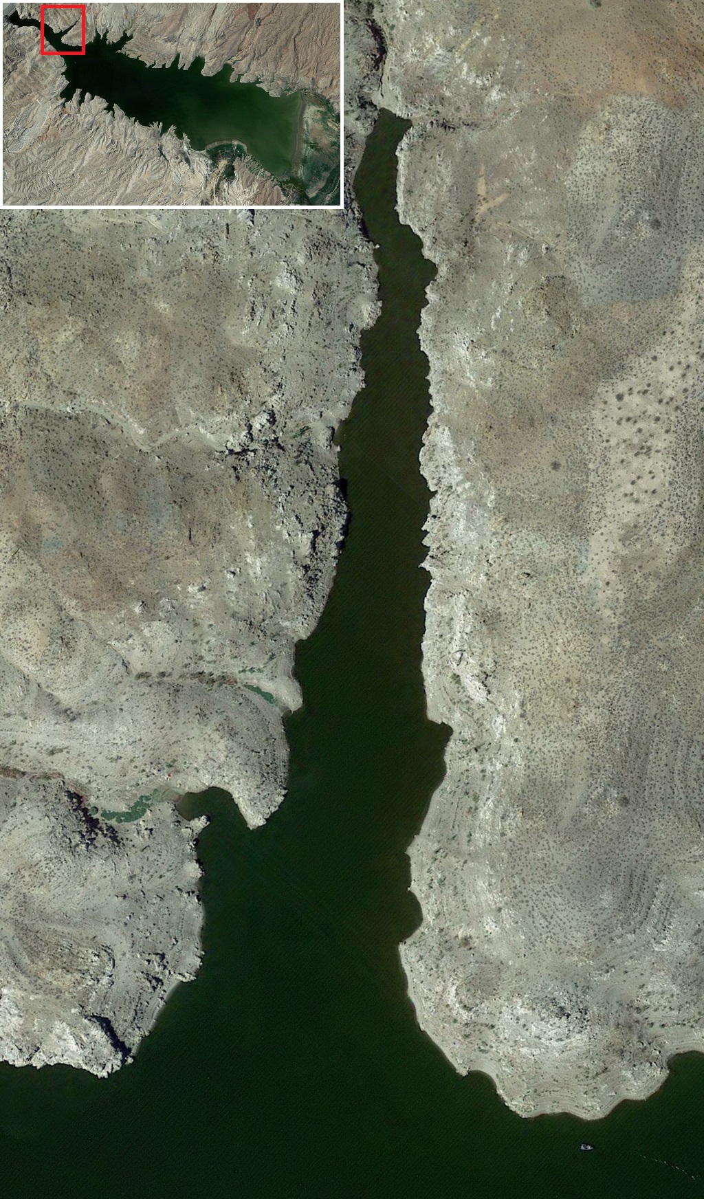 Alamo Lake Fishing Report 2024 [Tips, Spots, Pictures, Everything You