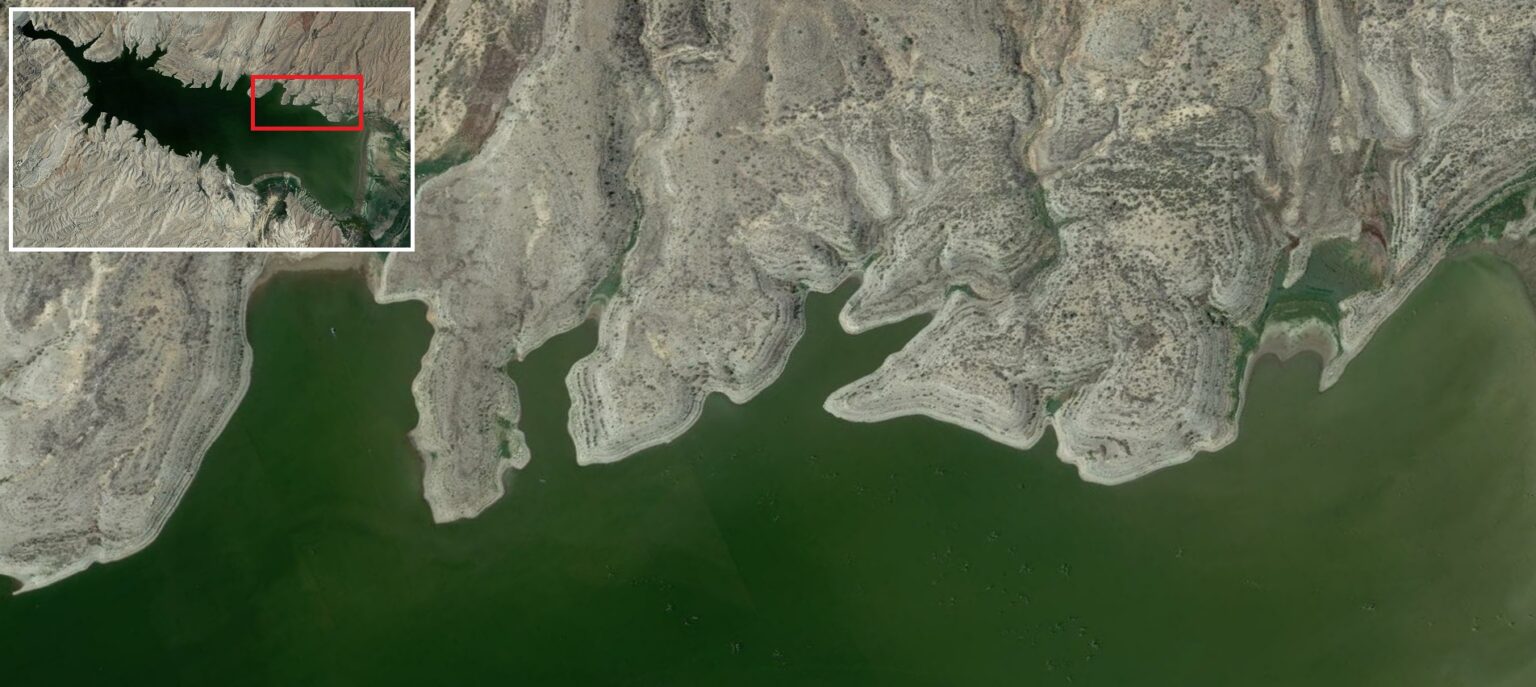 Alamo Lake Fishing Report 2024 [Tips, Spots, Pictures, Everything You