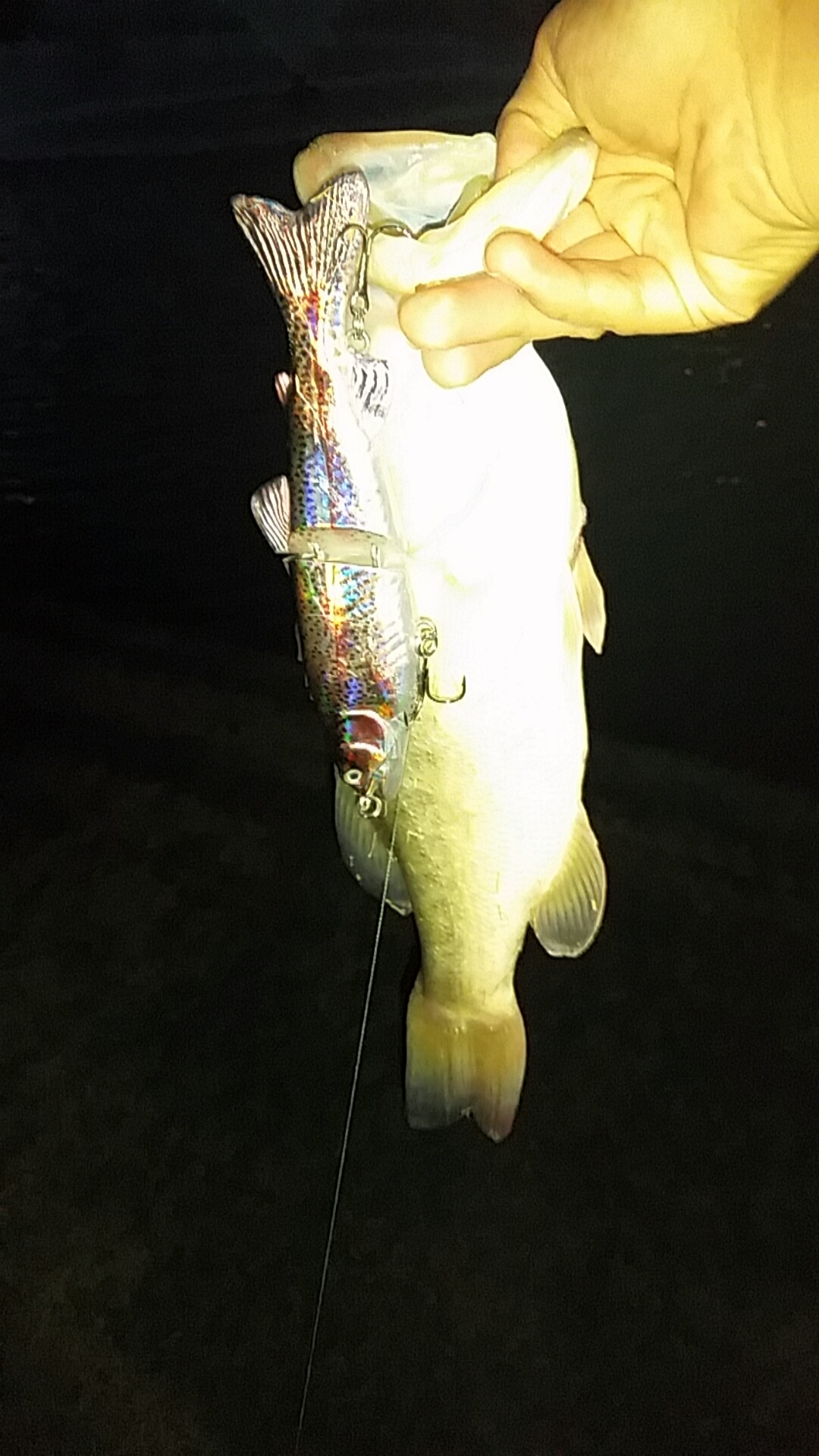 How To Catch Bass 57 FoolProof Methods To Start Bass Fishing [Made Easy] Fishing Blueprint