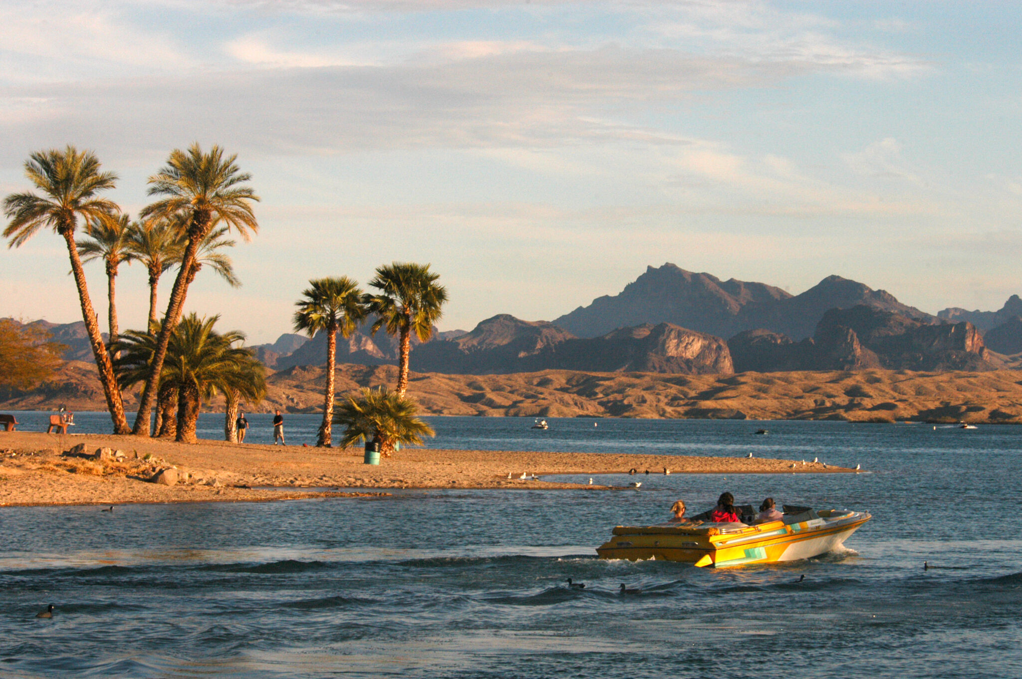 Lake Havasu Fishing Report 2024 [Tips, Spots, Pictures, Everything You