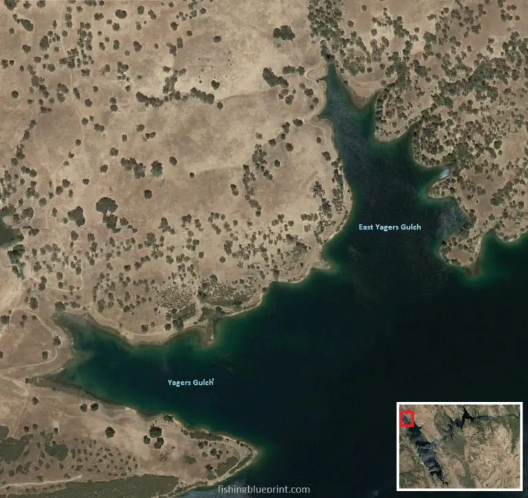 Pardee Lake Fishing Report 2024 [Tips, Spots, Pictures, and Everything