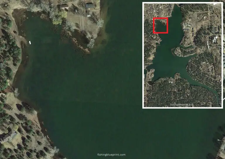 Rainbow Lake Fishing Report 2024 [Tips, Spots, Pictures, and Everything