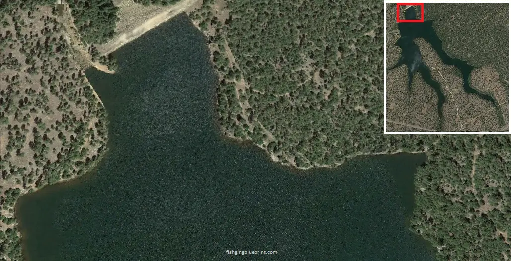 Willow Springs Lake Fishing Report 2024 [Tips, Spots, Pictures, and