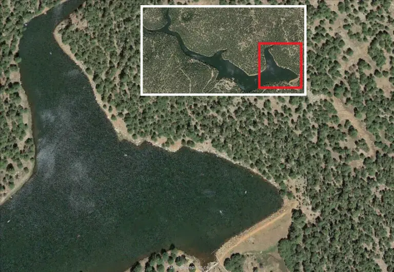 Woods Canyon Lake Fishing Report 2024 [Tips, Spots, Pictures, and