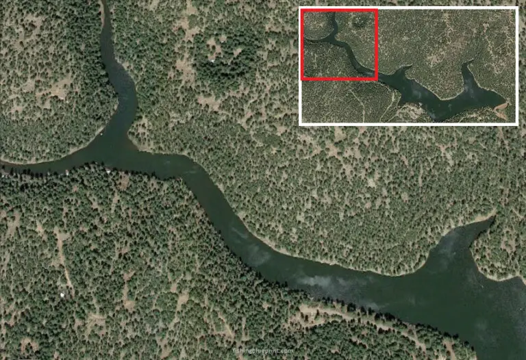 Woods Canyon Lake Fishing Report 2024 [Tips, Spots, Pictures, and