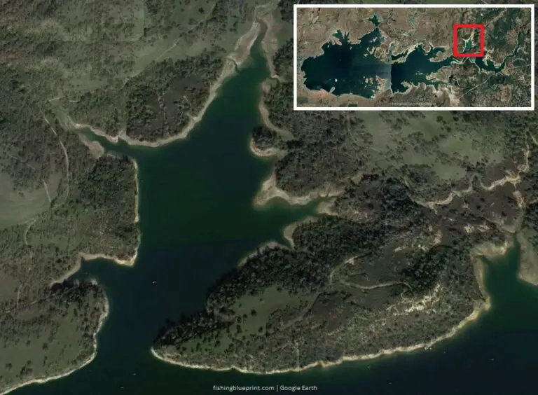 Lake Camanche Fishing Report 2024 [Tips, Fishing Spots, Pictures, and