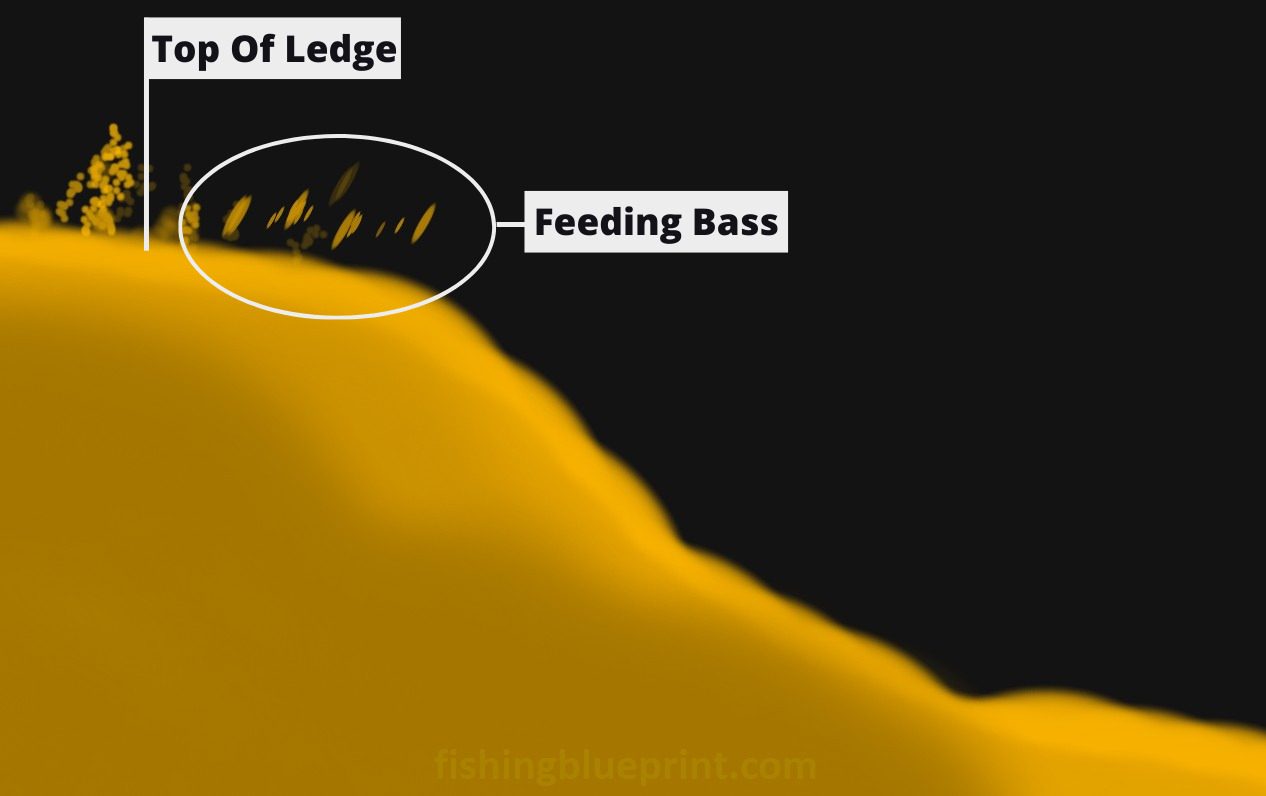 Bass Fishing Creeks The Easy Way (In Less Than 10 Minutes) Fishing