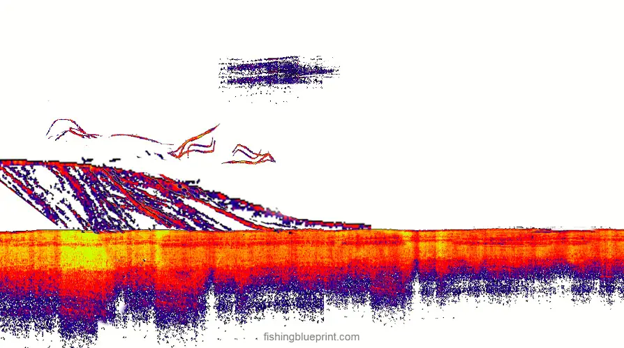 bass fishing laydown, bass fishing wood, side scan imaging