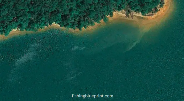 bass fishing laydowns, Richard B. Russell Lake