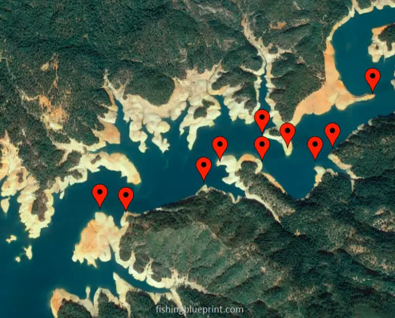 Bass Fishing POINTS [5 Quick & Easy Steps!] Fishing Blueprint