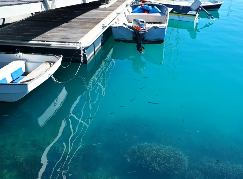 bass fishing docks, fishing boat docks