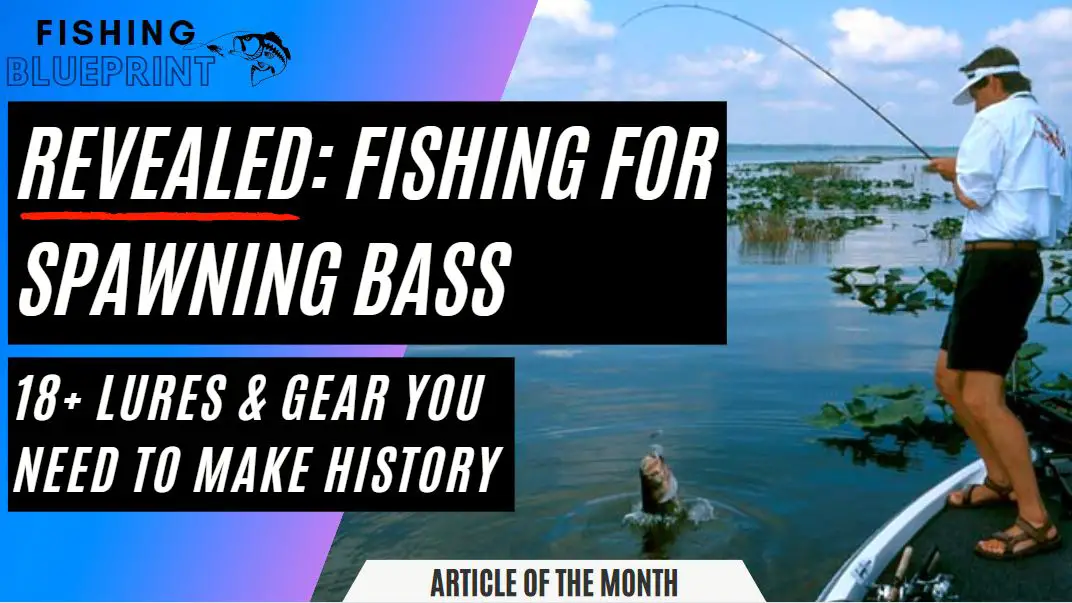 How To Find PreSpawn Bass in 2 Insanely Easy Steps Fishing Blueprint