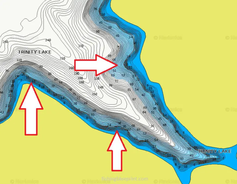 Trinity Lake Fishing Report 2024 [Tips, Spots, Pictures, and Everything