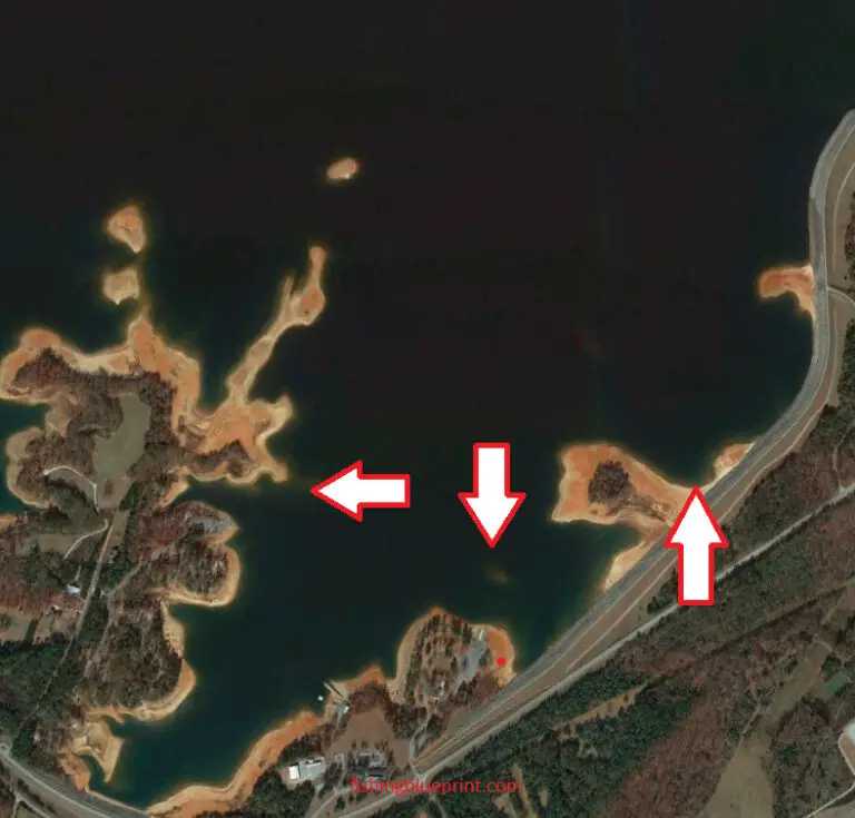 Lake Hartwell Fishing Report 2023 [Tips, Spots, Pictures, and